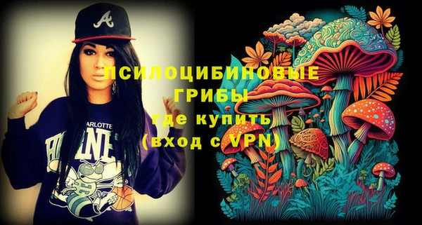 прущие грибы Балахна