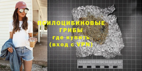 прущие грибы Балахна