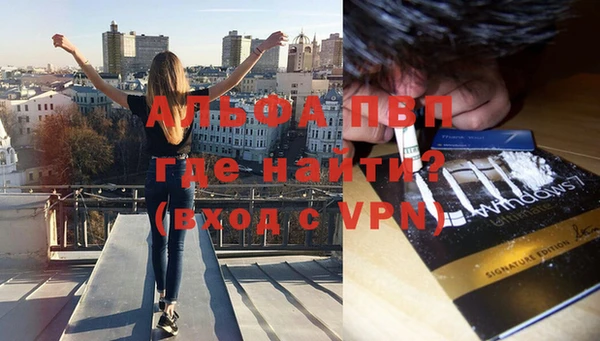 прущие грибы Балахна