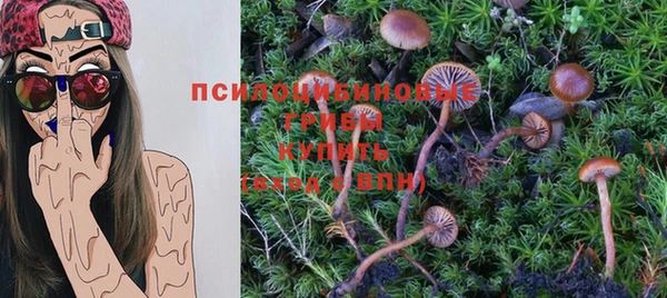 а пвп мука Баксан