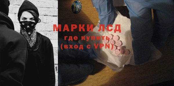 прущие грибы Балахна
